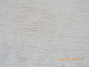 DSCN8005