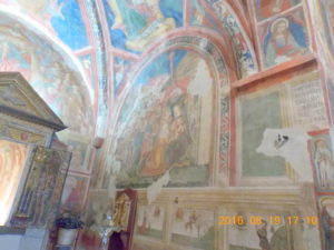 DSCN8019